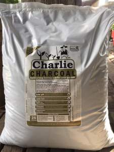 charlie charcoal bag
